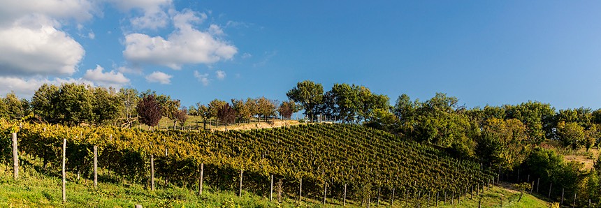 Special Offers From Gusto Wine Tours Umbria Come And Join Us Gusto Wine Tours