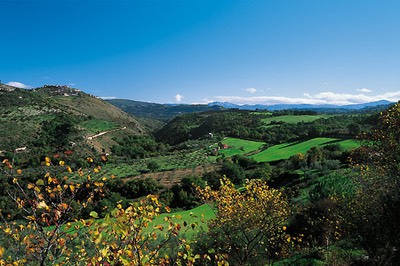 Wine Tour near Rome